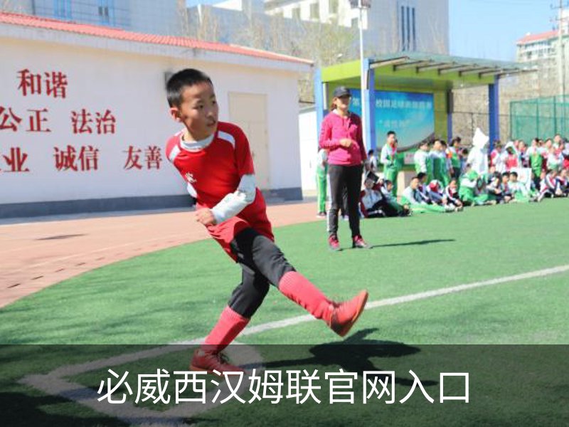 必威西汉姆联官网入口简介